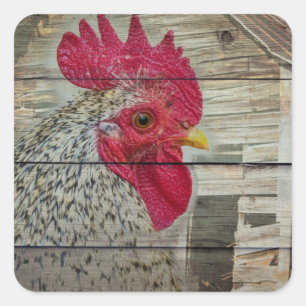 Rooster Rustic Chicken Coop Barn Board Vierkante Sticker