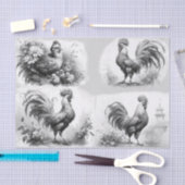 Rooster-schetsen Tissuepapier (Craft)