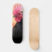 Rooster Skateboard (Voorkant)