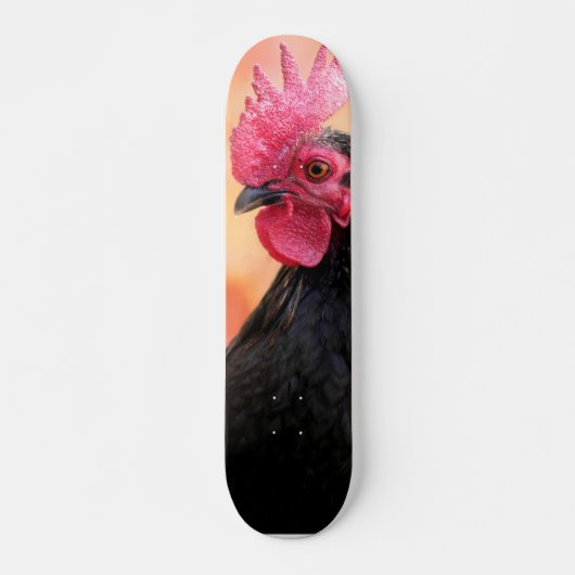 Rooster Skateboard (Voorkant)