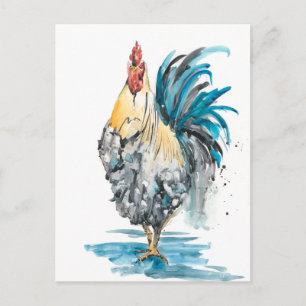 Rooster Splash - Waterverf Portret Briefkaart
