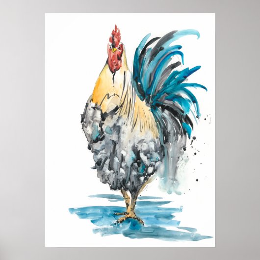 Rooster Splash - Waterverf Portret Poster (Voorkant)