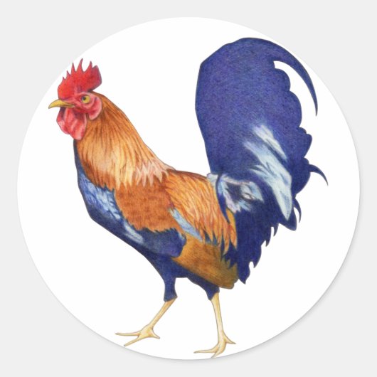 Rooster Sticker (Voorkant)