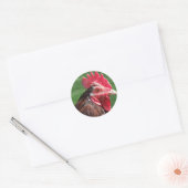 Rooster Stickers (Envelop)