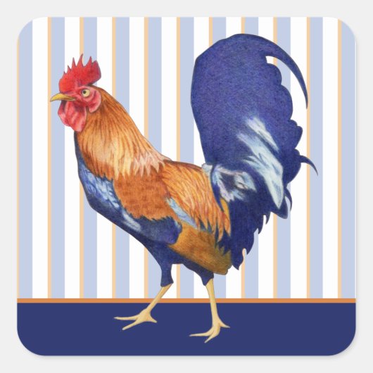Rooster strepen Square Sticker (Voorkant)