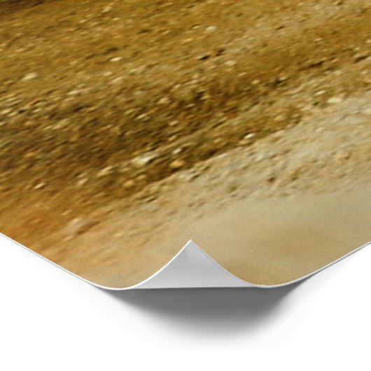 Rooster Tail volgen Poster (Hoek)