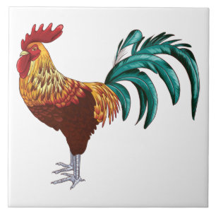 ROOSTER TEGELTJE