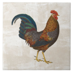 Rooster Tegeltje