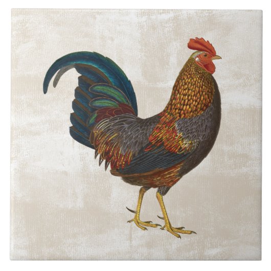 Rooster Tegeltje (Voorkant)