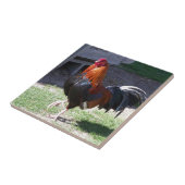 Rooster Tegeltje (Zijkant)