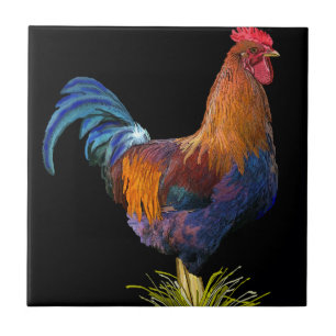 Rooster Tegeltje