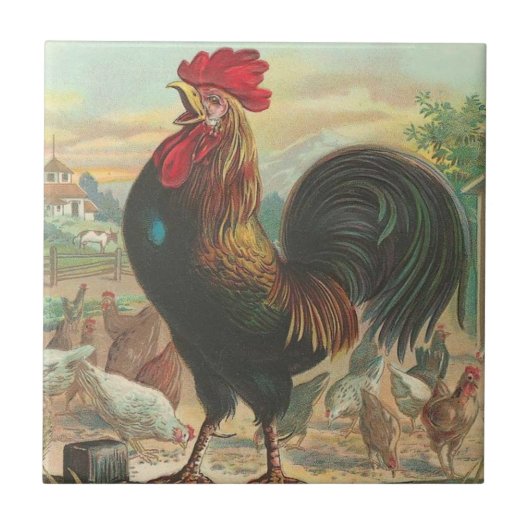 Rooster Tegeltje (Voorkant)