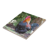 Rooster Tegeltje (Zijkant)