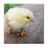 rooster tegeltje (Voorkant)