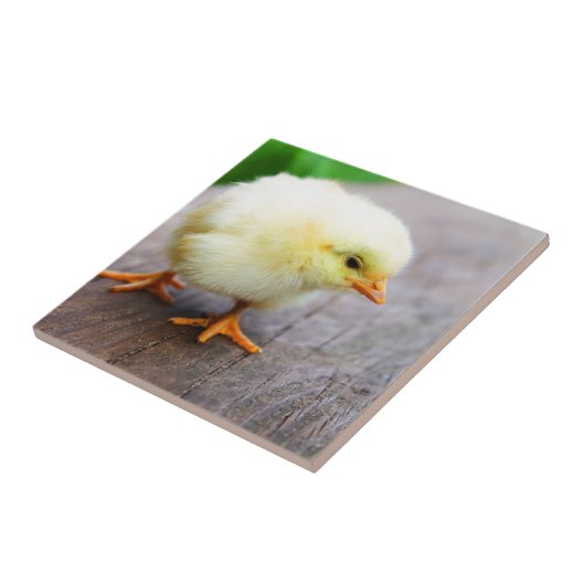 rooster tegeltje (Zijkant)