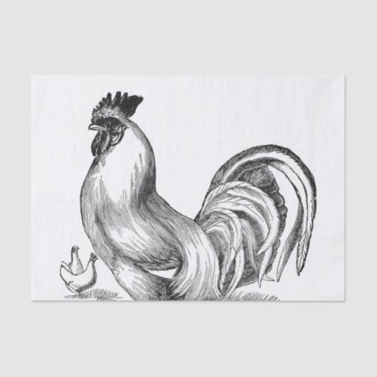  rooster tissuepapier (Voorkant)