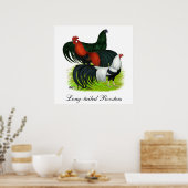 Rooster Trio met lange staart Poster (Keuken)