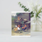 Rooster Turnip Basket Hens Briefkaart (Staand voorkant)