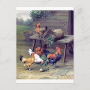Rooster Turnip Basket Hens Briefkaart