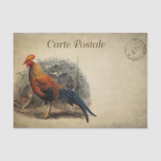 Rooster van de Franse stijl Carte Postale Tissuepapier (Voorkant)