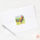 Rooster Vierkante Sticker (Envelop)
