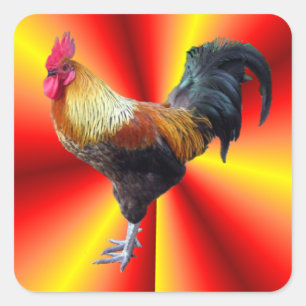 Rooster Vierkante Sticker
