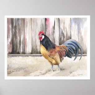 Rooster Waterverf Art Print