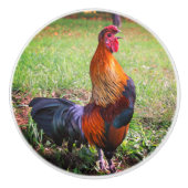 Roosterkweekdier Boerderij Keramische Knop (Voorkant)