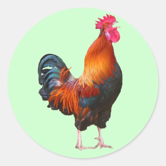 RoosterkweekStickers Ronde Sticker (Voorkant)