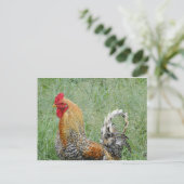 Roosters Briefkaart (Staand voorkant)