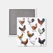 Roosters collage-kleurkip magneet (Voorkant / Achterkant)