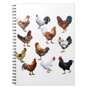 Roosters collage-kleurkip notitieboek