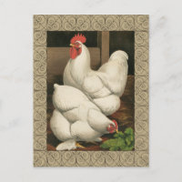 Roosters en Engels buiten Hen House met witte rand