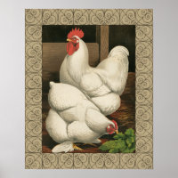 Roosters en Engels buiten Hen House met witte rand