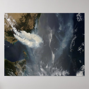 Roosters en rook in Zuidoost-Australië Poster