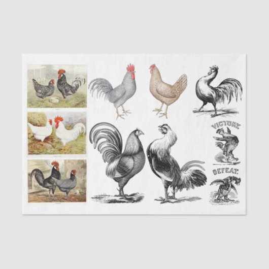  Roosters Hens Boerderij ontkoppelen Collage Tissuepapier (Voorkant)