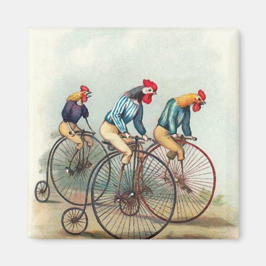 Roosters Magneet (Voorkant)