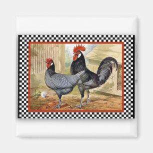 Roosters met proud magneet