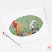Roosters Ovale Sticker (Envelop)