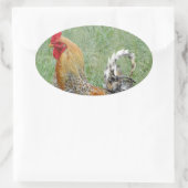 Roosters Ovale Sticker (Tas)