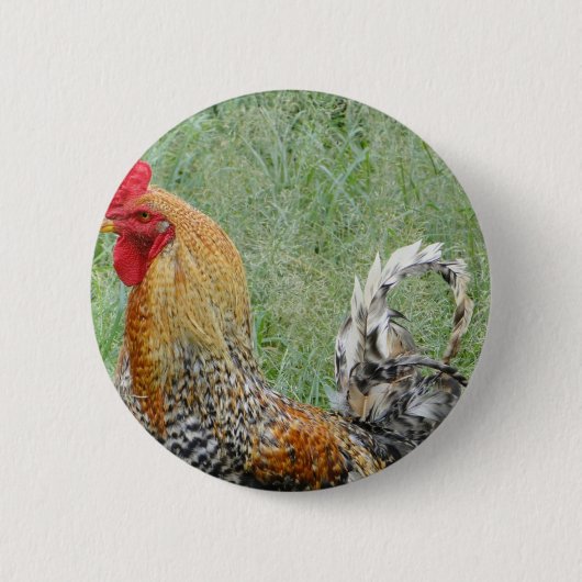 Roosters Ronde Button 5,7 Cm (Voorkant)