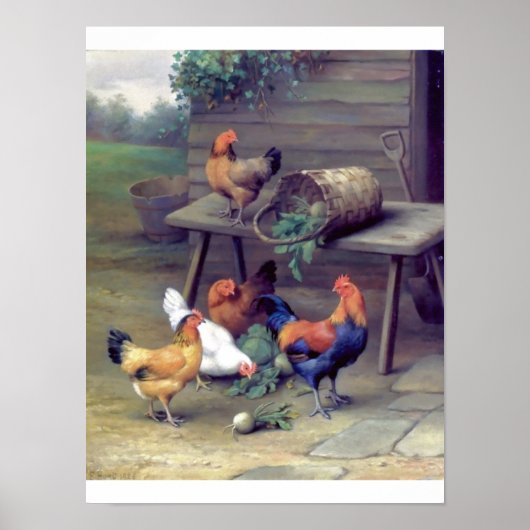 Roosterturnippen boerderij poster (Voorkant)