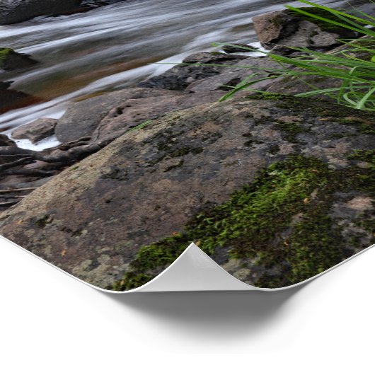 Root Beer Herfsten, Michigan's Bovenste schiereila Poster (Hoek)