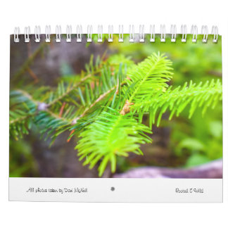 Rooted & Wild Natuur kalender 2022