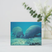 Rooting beheren in zand briefkaart (Staand voorkant)