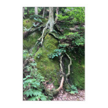 "Roots" acryl print