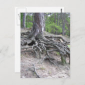 Roots Briefkaart (Voorkant / Achterkant)