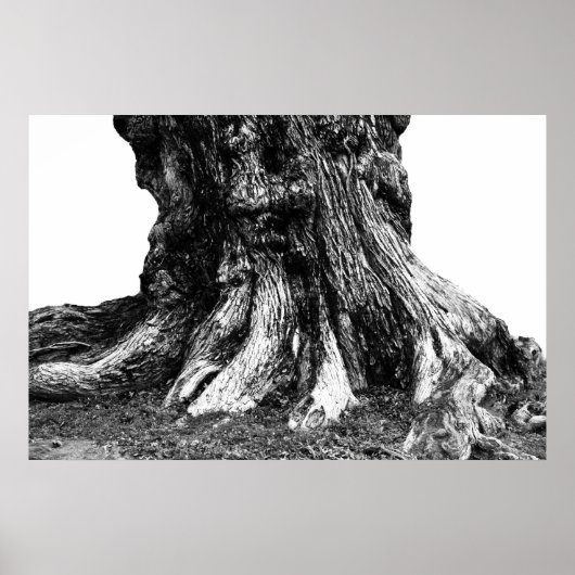 Roots Poster (Voorkant)