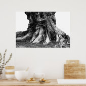 Roots Poster (Keuken)