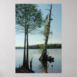Rope Swing on the Suwannee River Print